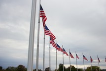 American flags in a row 