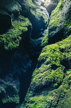 a green ravine 