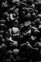 Minimal black texture background hearts for valentines day and love