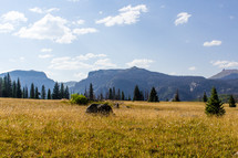 mountains and field 