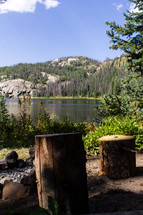 tree stumps and mountain lake 
