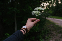 A woman's hand holding two white flowers.