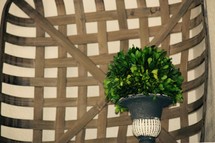 topiary and tobacco basket 