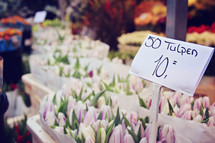tulips at a flower shop 