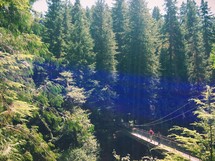 People crossing a suspension bridge in a forest of trees.