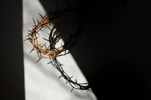shadows and crown of thorns 