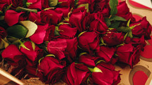 Red roses on the table