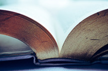 spine of an opened Bible 
