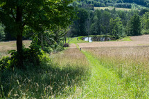 rural landscape with pond 