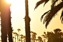 Huntington Beach, California at sunset 