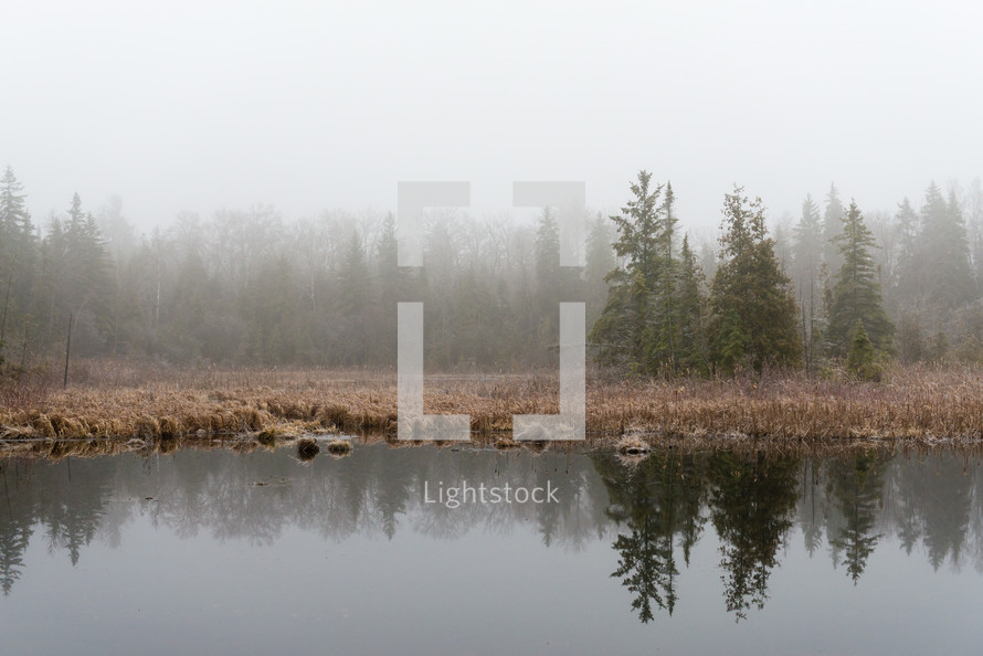 lake shore and fog 