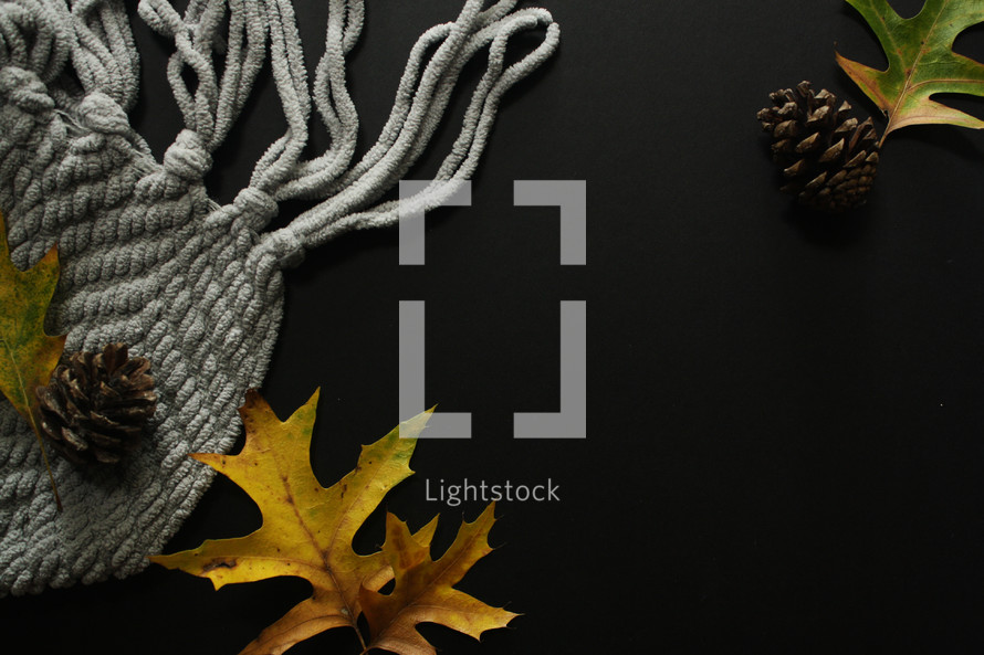 pine cones, fall leaves, and blanket on black 