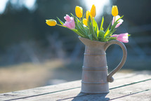 tulips in a pitcher