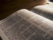Close up of an open Bible.