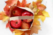 bag of apples and fall leaves on a white background 