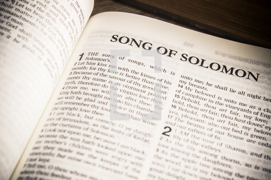 Song of Solomons 