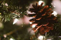 A pinecone on a Christmas tree. 