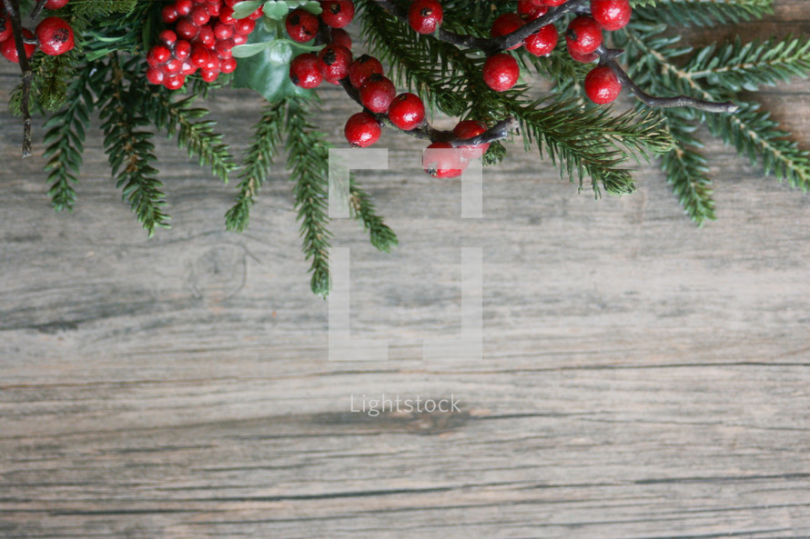 Christmas background with greenery and red berries