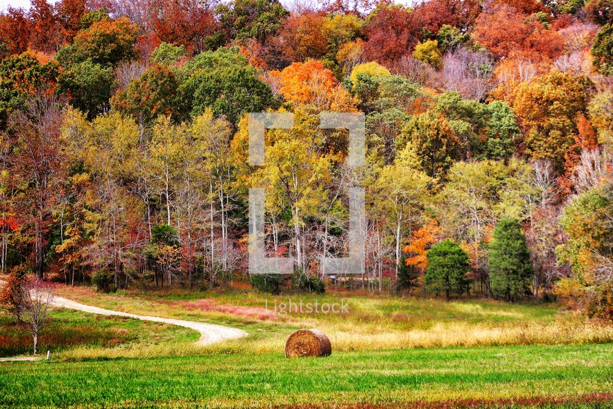 hay bale in front of autumn trees