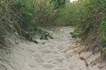 Sand trail