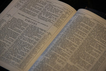 Open Bible in the book of I Timothy