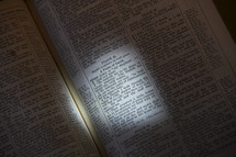 Open Bible in the book of Psalms