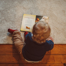 toddler boy reading a children's Bible 