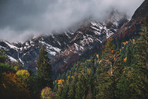 Snowy peaks and autumn forests in the mountains