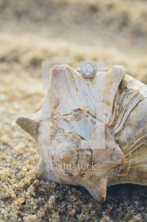 engagement ring on a conch shell 