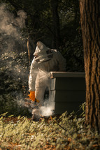 Beekeeper smoking honey bees in a bee hive