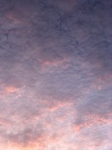 beautiful clouds with pink undersides from a low sun