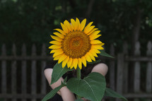 a young girl holding a sunflower 