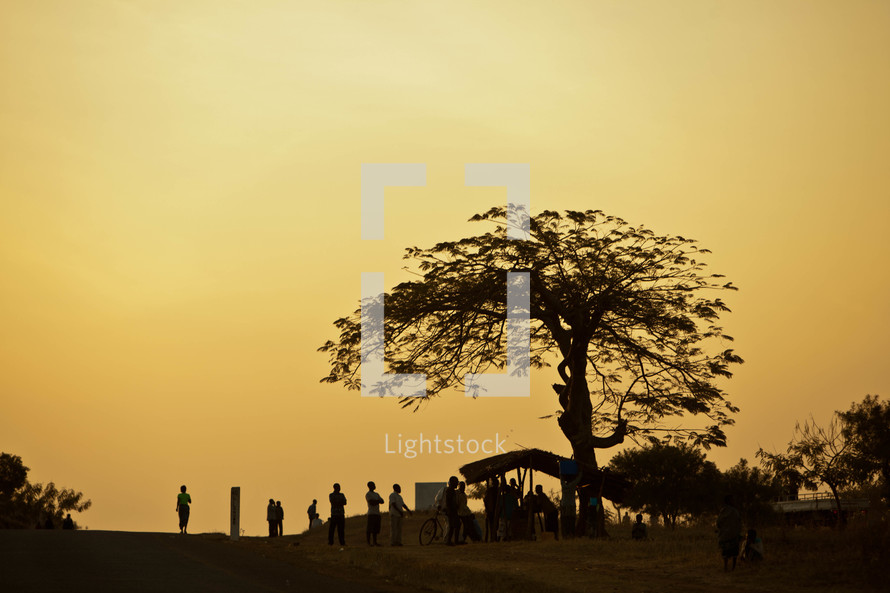 Silhouettes of people under a tree in Malawi, Africa. 