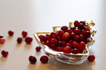cranberries in a Christmas tree tray
