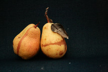 two pears 