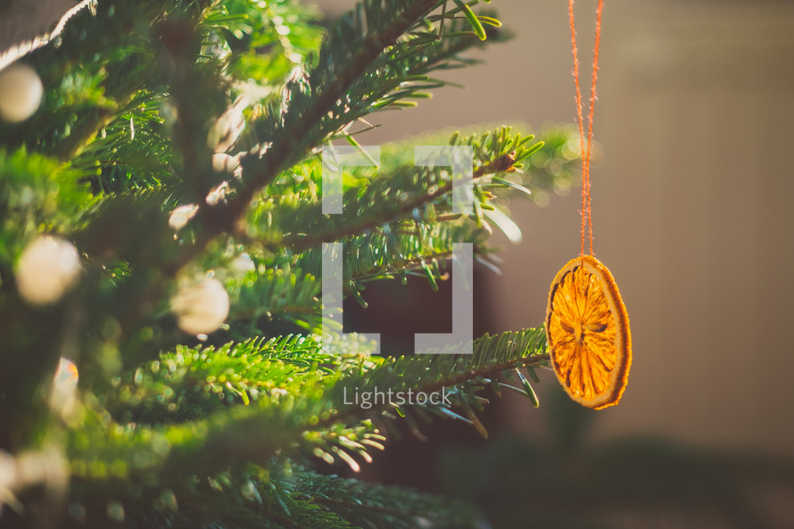 orange slice ornament on a Christmas tree 