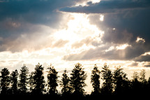 sunlight and clouds above a tree line 