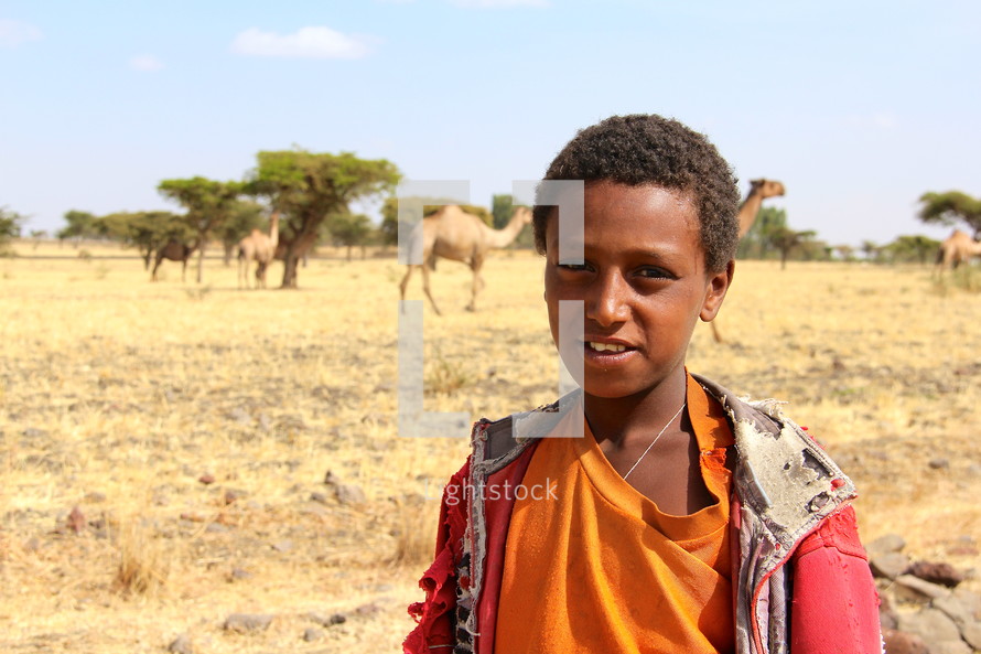 young boy and camels 