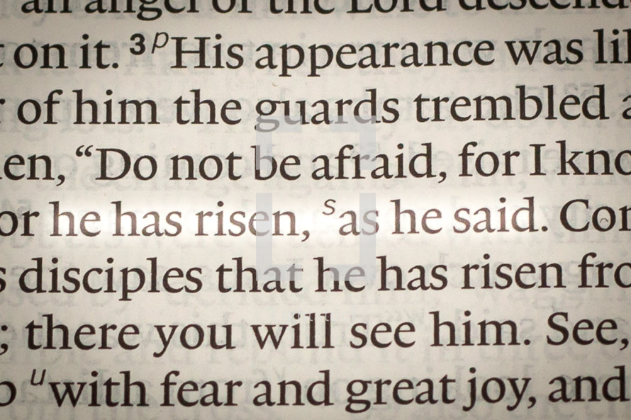 he has risen, as he said 
