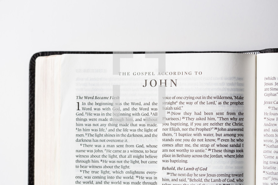 The Gospel According to John 