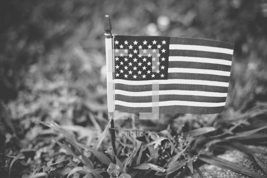 American flag in grass