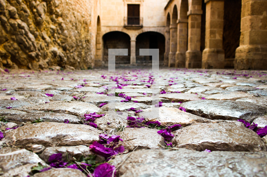purple flower petals on a cobble stone street 