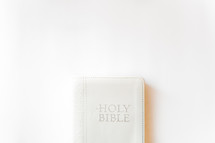 Bible white cover on a white background 