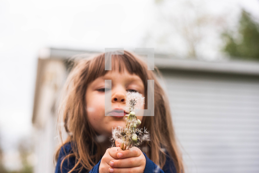 child with dandelions 