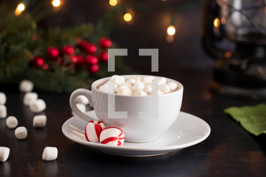 Hot Chocolate and Marshmallows on a Table set for the Holidays