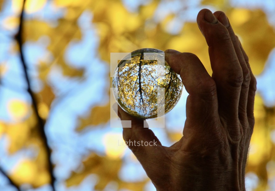 person holding a glass orb looking at fall trees 
