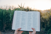 holding up an opened Bible outdoors 