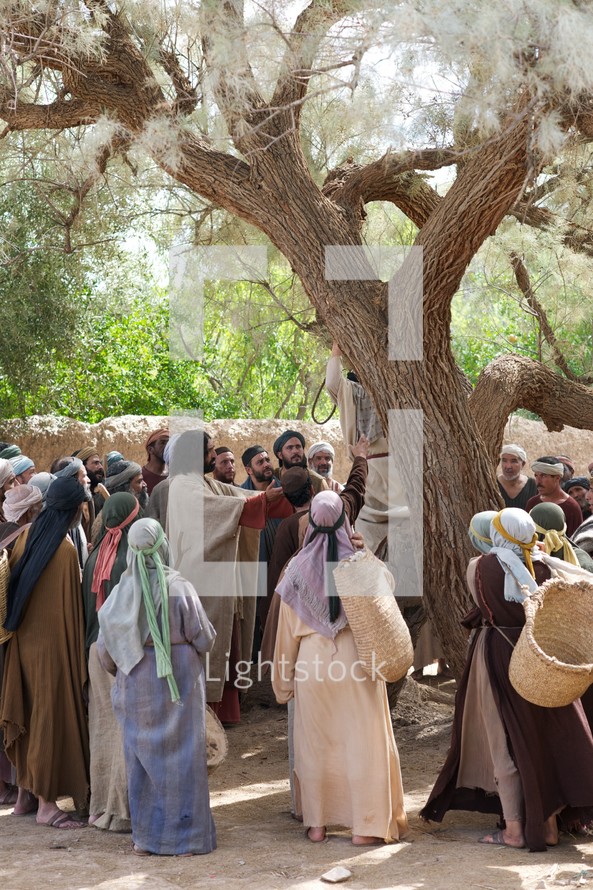 Zacchaeus The Tax Collector, Luke 19:1-10