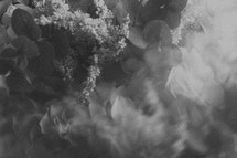 blurry flowers background in black and white 