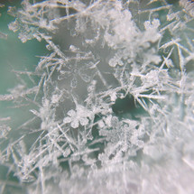 macro snowflakes and snowy crystals